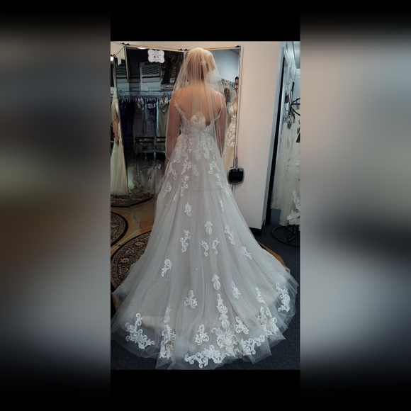 Wedding Dress with Cathedral Length Veil - Picture 6 of 7